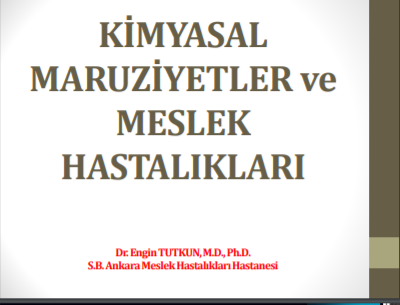 KiÌ‡myasal MaruziÌ‡yetler ve Meslek Hastaliklari