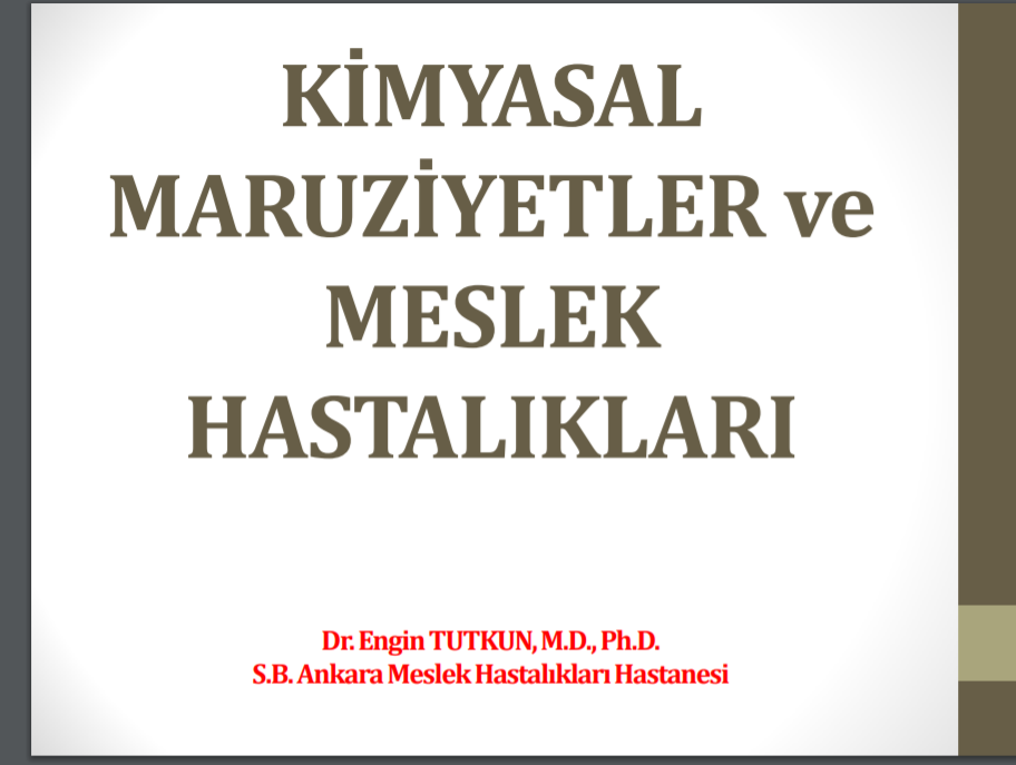 Kimyasak Maruziyetler ve Meslek Hastalıkları