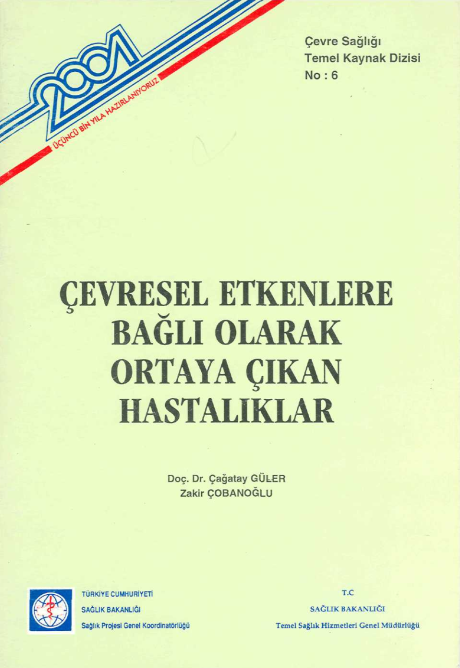 Çevresel Etkenlere Bağlı Ortaya Çıkan Hastalıklar