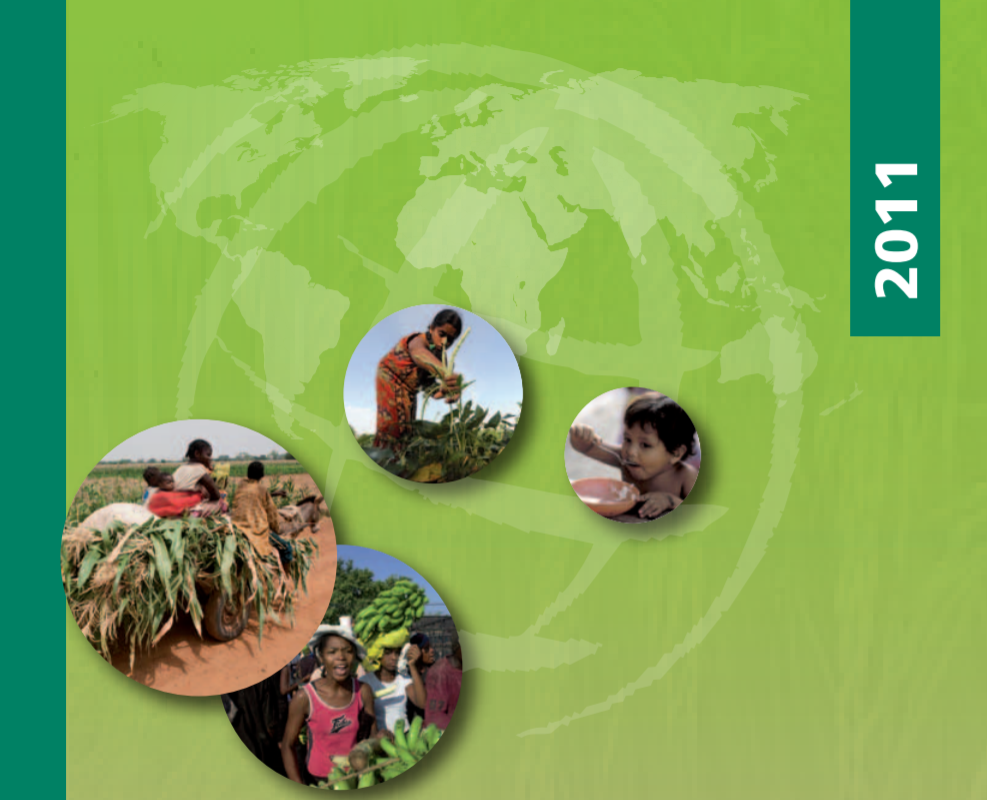  The State of Food Insecurity in the World (How does international price volatility affect domestic economies and food security?)