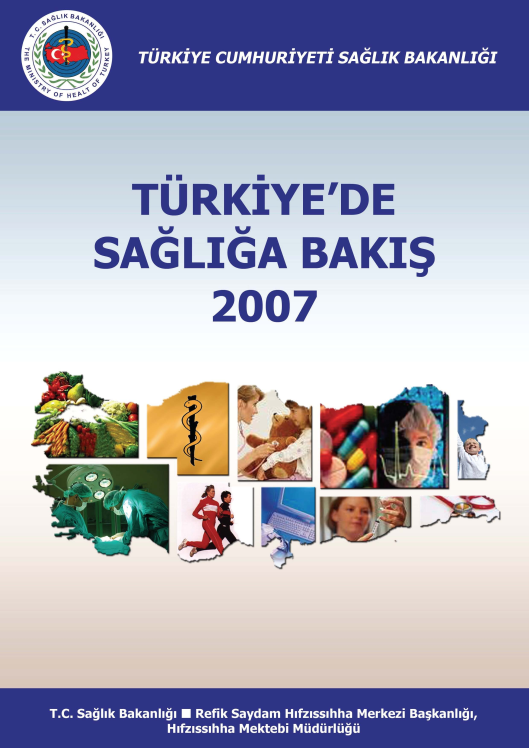 Türkiye'de Sağlığa Bakış 2007