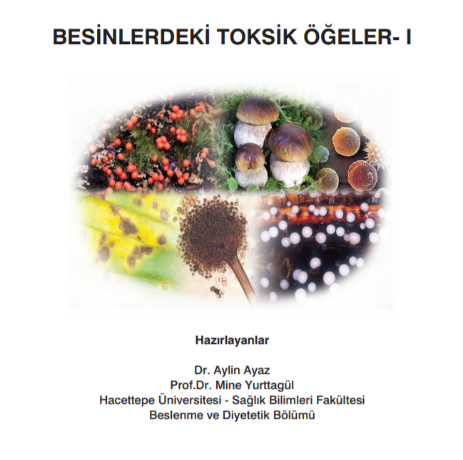  Besinlerdeki Toksik Ögeler 1