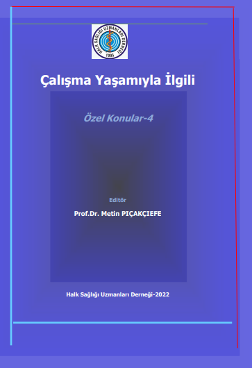 Çalışma Yaşamıyla İlgili  Özel Konular-4