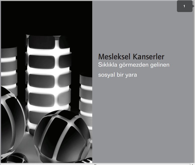 Mesleksel Kanserler Sıklıkla Görmezden Gelinen Sosyal Bir Yara