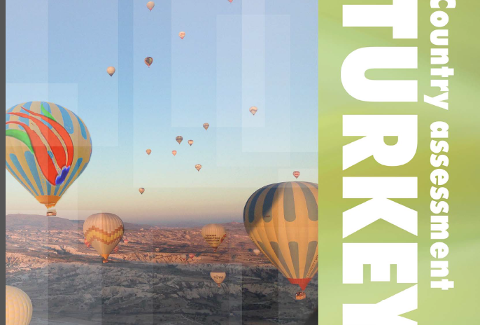  Better Noncommunicable Disease Outcomes: Challenges and Outcomes : TURKEY