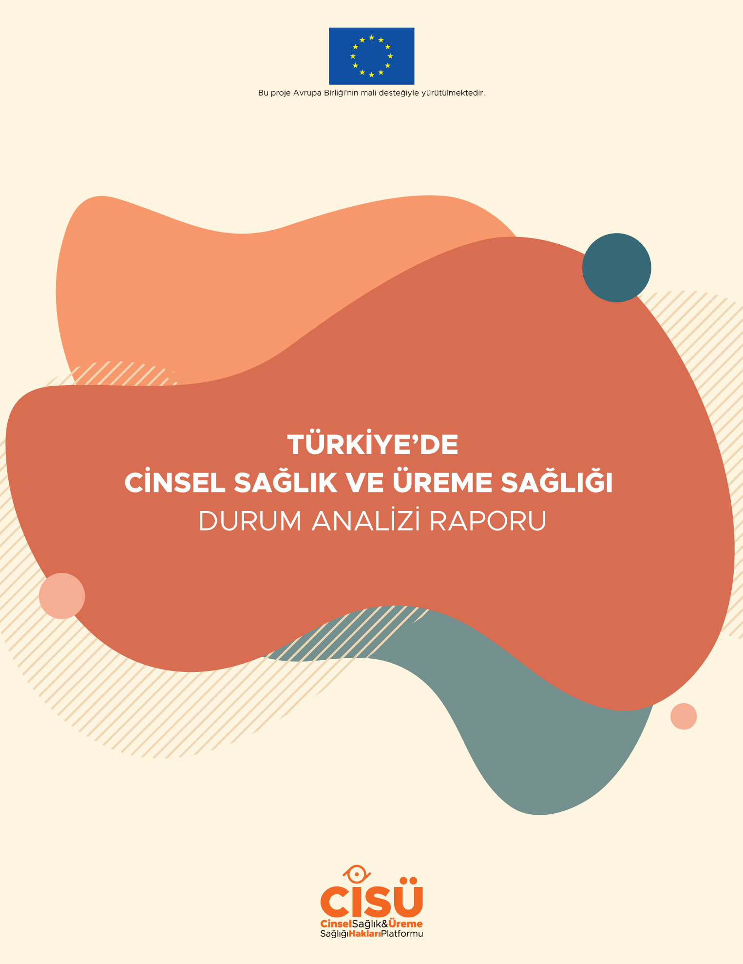 Türkiye'de Cinsel Sağlık ve Üreme Sağlığı Durum Analizi Raporu